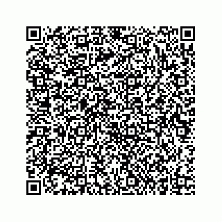 vCard 73834734315