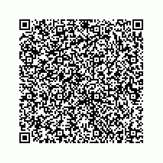 vCard 73834734317