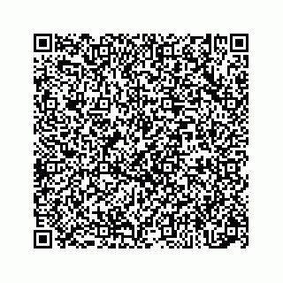 vCard 73834734329