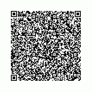vCard 73834739333