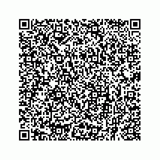 vCard 73834739411