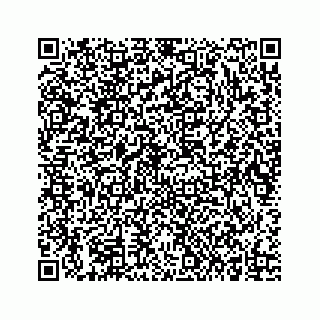 vCard 73834749311
