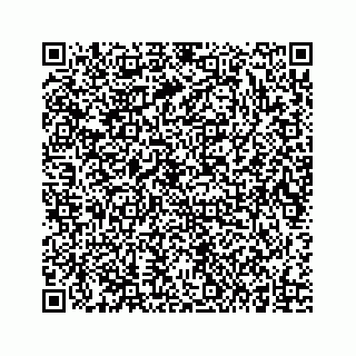 vCard 73834749313