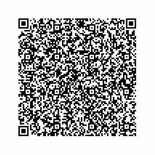vCard 73834749328