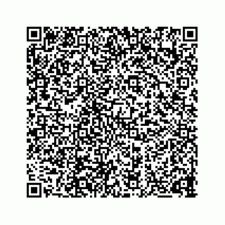 vCard 73834749329