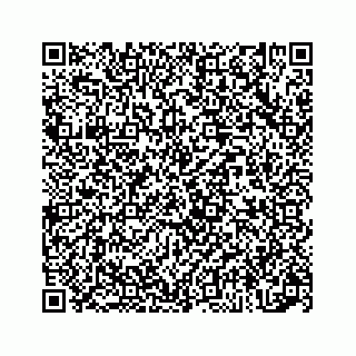 vCard 73834749333