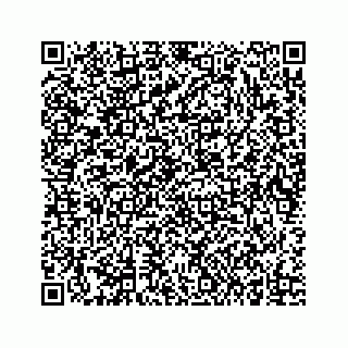 vCard 73834749334