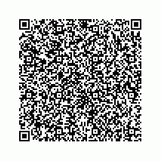 vCard 73834749335