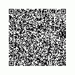 vCard 73834847153