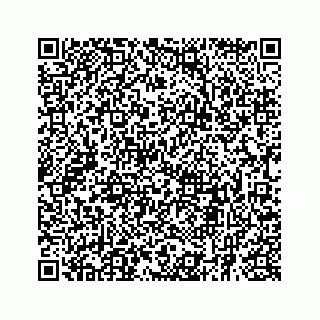 vCard 73834943221