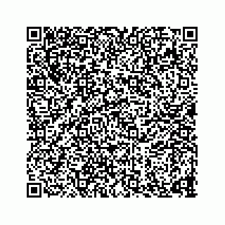 vCard 73835043319