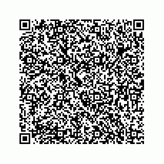 vCard 73835138227