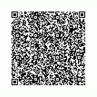 vCard 73835138241