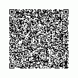 vCard 73835138243