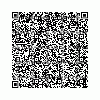 vCard 73835230333