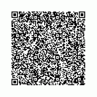 vCard 73835239296