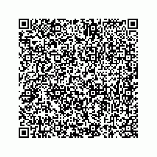 vCard 73835251299