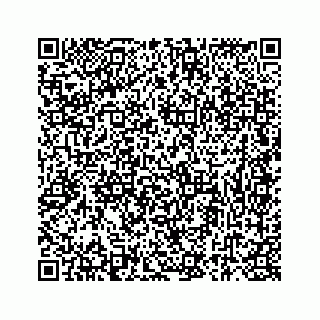 vCard 73835253179
