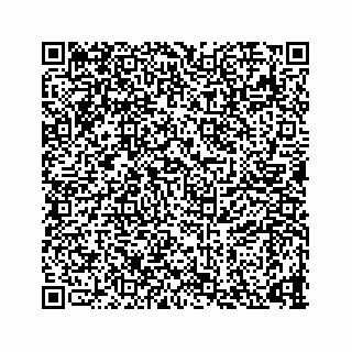 vCard 73835339203