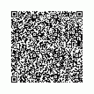 vCard 73835339207