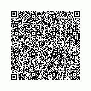 vCard 73835339208