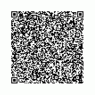 vCard 73835339209
