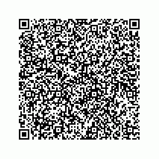 vCard 73835339210