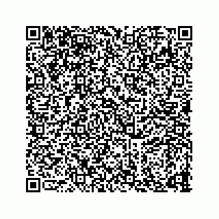 vCard 73835339211