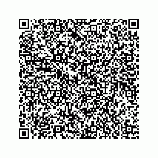 vCard 73835339213