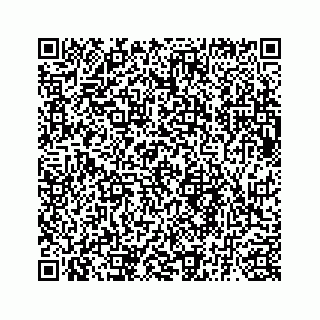 vCard 73835339214