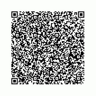 vCard 73835339233