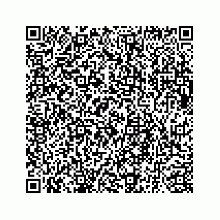 vCard 73835339252