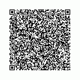vCard 73835339273