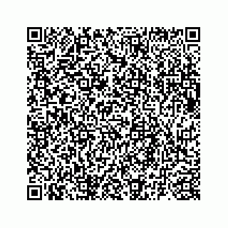 vCard 73835339285