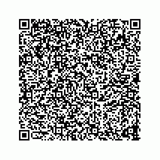 vCard 73835339287