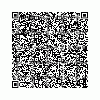 vCard 73835339291