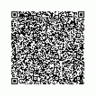 vCard 73835339297