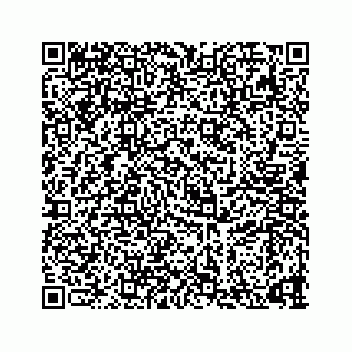 vCard 73835339300