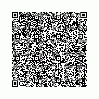 vCard 73835339301