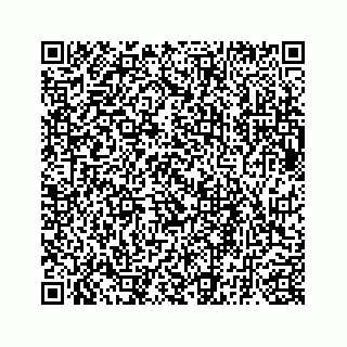 vCard 73835339303