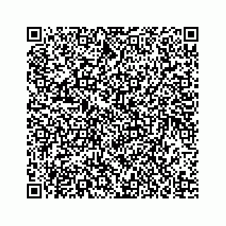 vCard 73835339310
