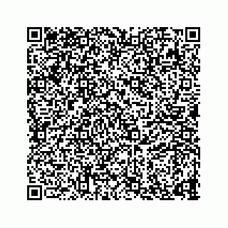 vCard 73835339312