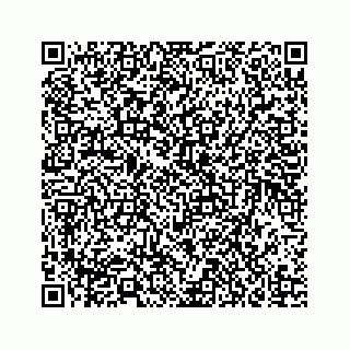 vCard 73835339314