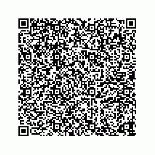 vCard 73835339317