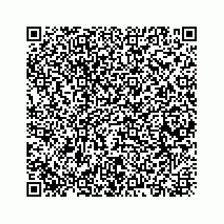 vCard 73835339321