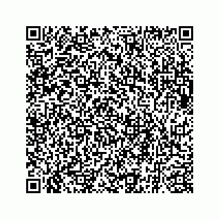 vCard 73835339328