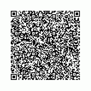 vCard 73835339331
