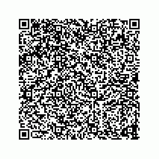 vCard 73835339333