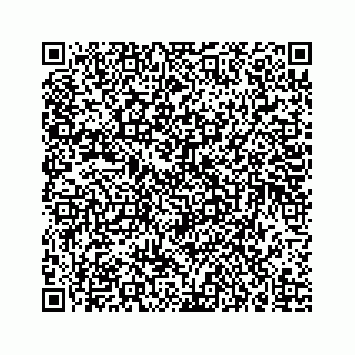 vCard 73835339334
