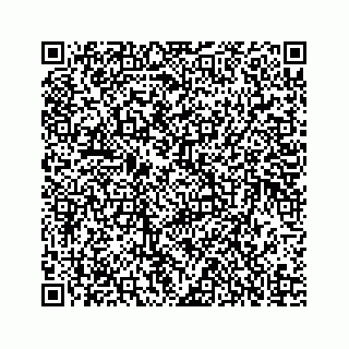 vCard 73835339335